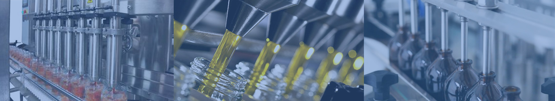 新聞動態  /  新聞資訊